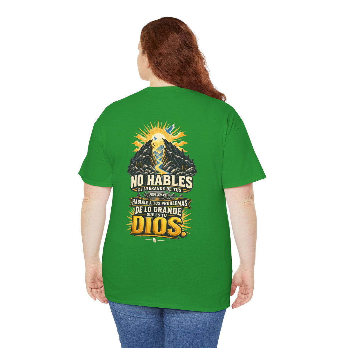 BRANDION FH — Fe de Hierro — No hables de lo grande de tus problemas, háblale a tus problemas de lo grande que es tu Dios.