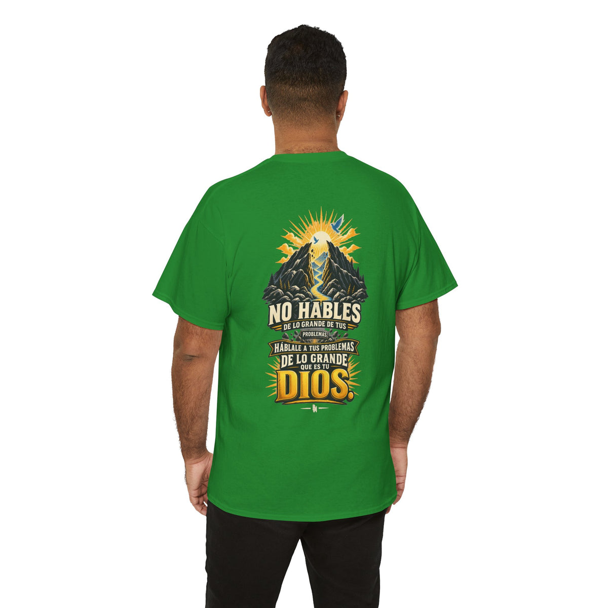 BRANDION FH — Fe de Hierro — No hables de lo grande de tus problemas, háblale a tus problemas de lo grande que es tu Dios.