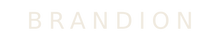 BRANDION - Inicio